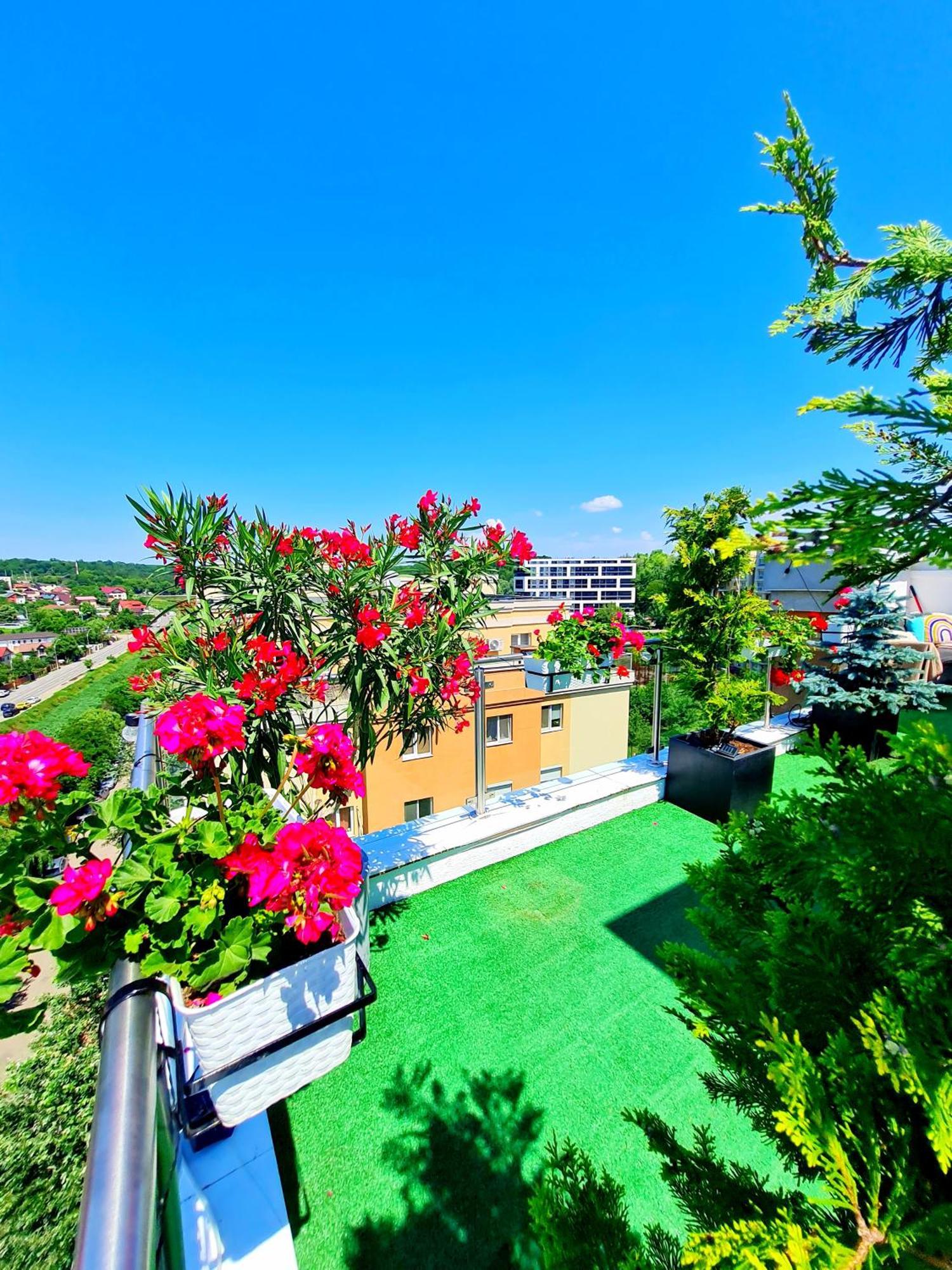 Апартаменти Penthouse View Aeroport Ясси Екстер'єр фото